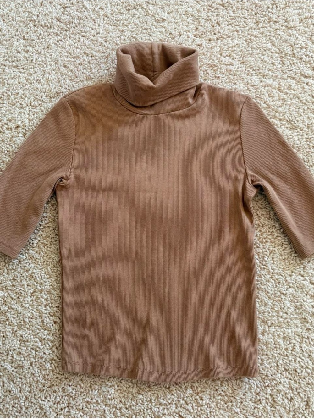 Zara Brown Turtleneck Top